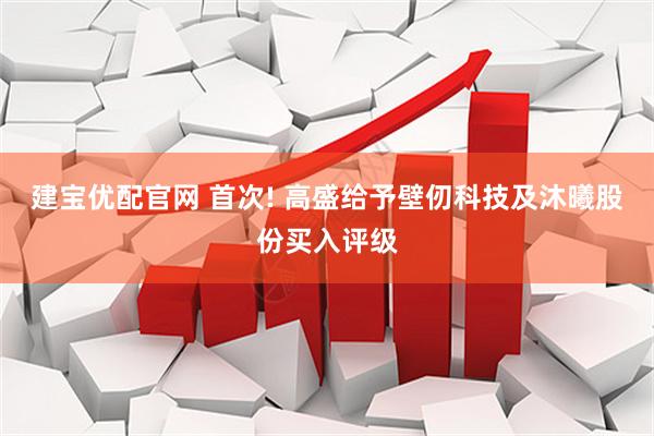 建宝优配官网 首次! 高盛给予壁仞科技及沐曦股份买入评级